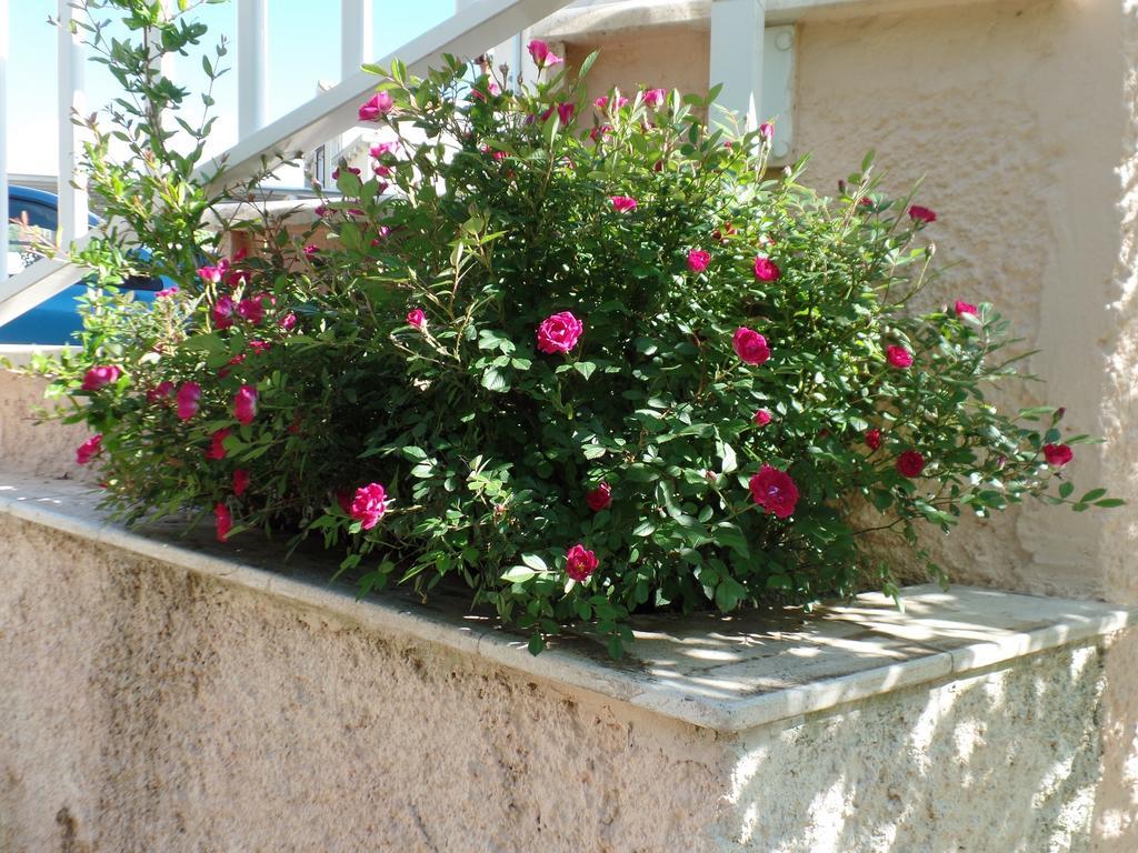 Apartment 4M Mlini Δωμάτιο φωτογραφία
